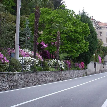 Gardenia オッジェッビオ